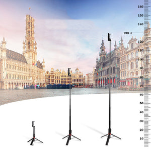 Capture Every Moment with the Ultimate Selfie Stick